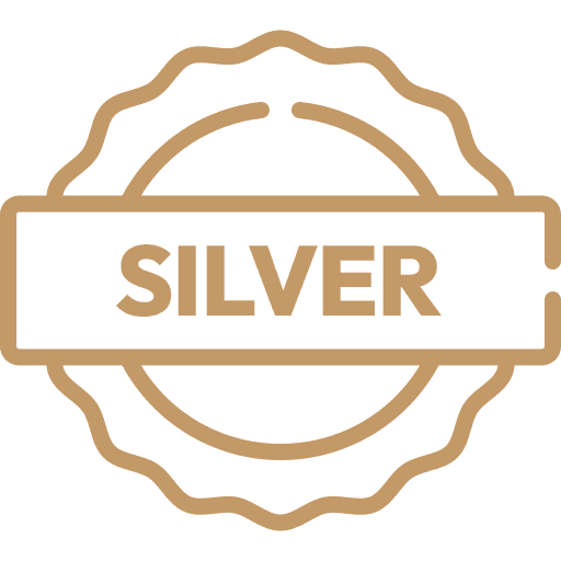 Silver icon
