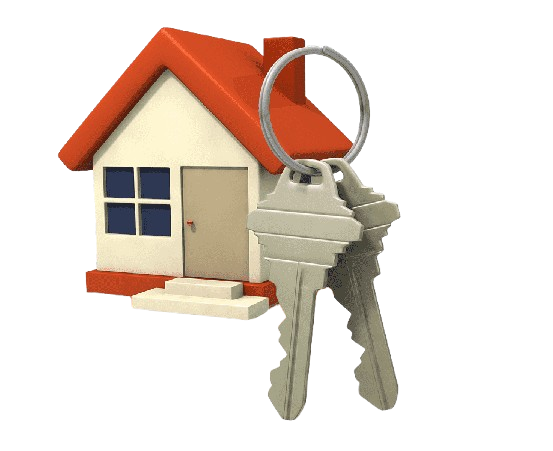 Investor Protection